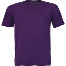 145g Barron Crew Neck T-Shirt Vivid Purple